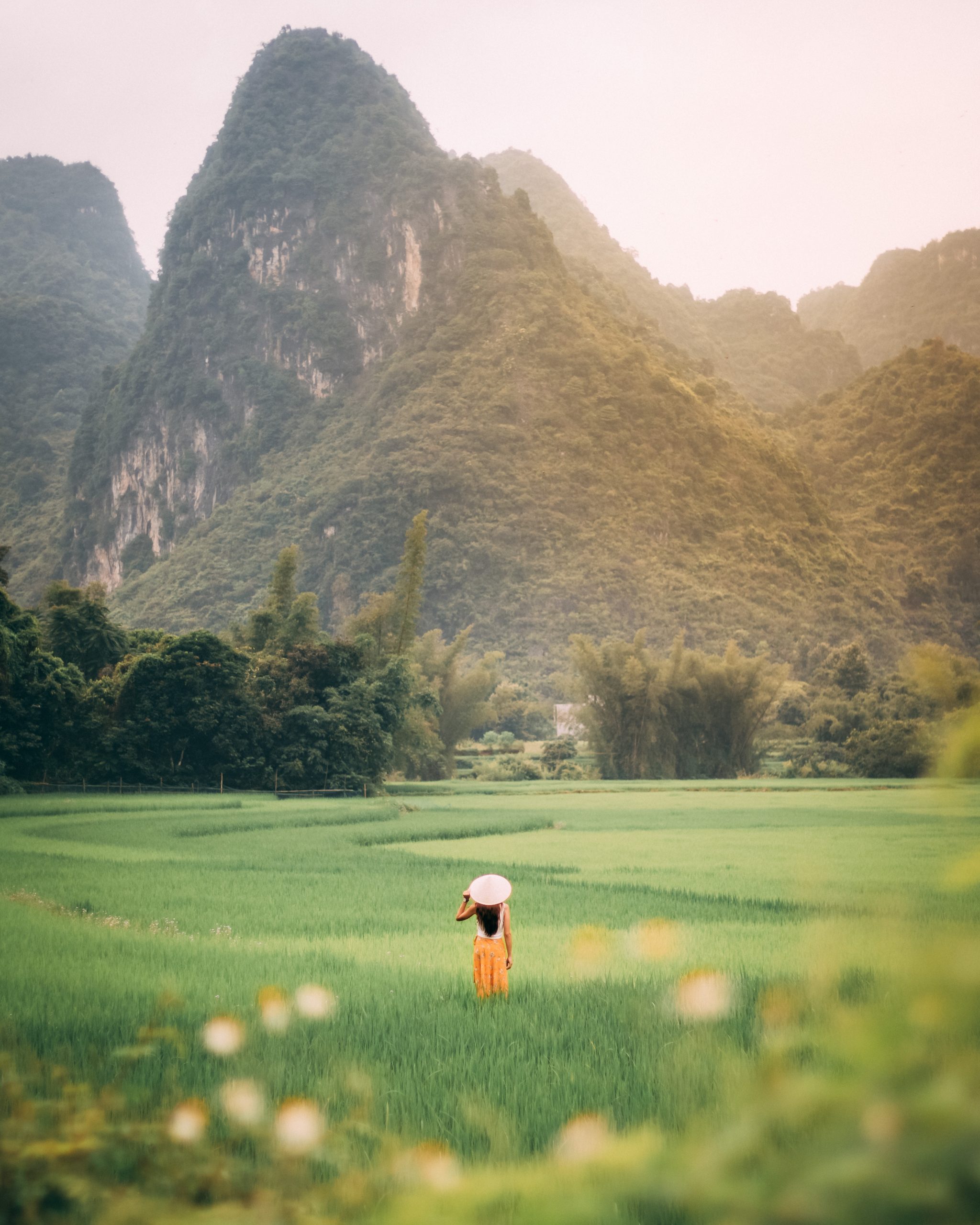 Person standing on green grass field. (image courtesy of taryn elliott)