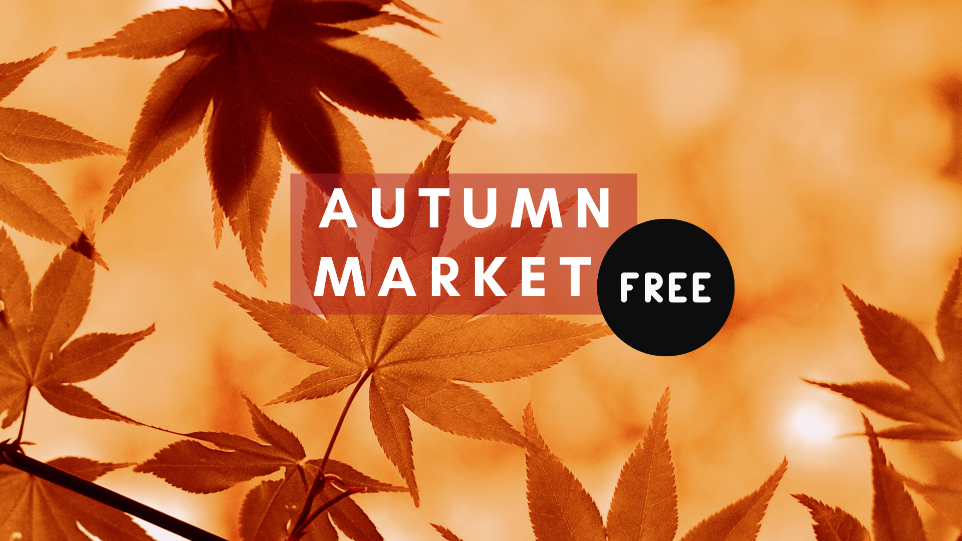 Autumn Market