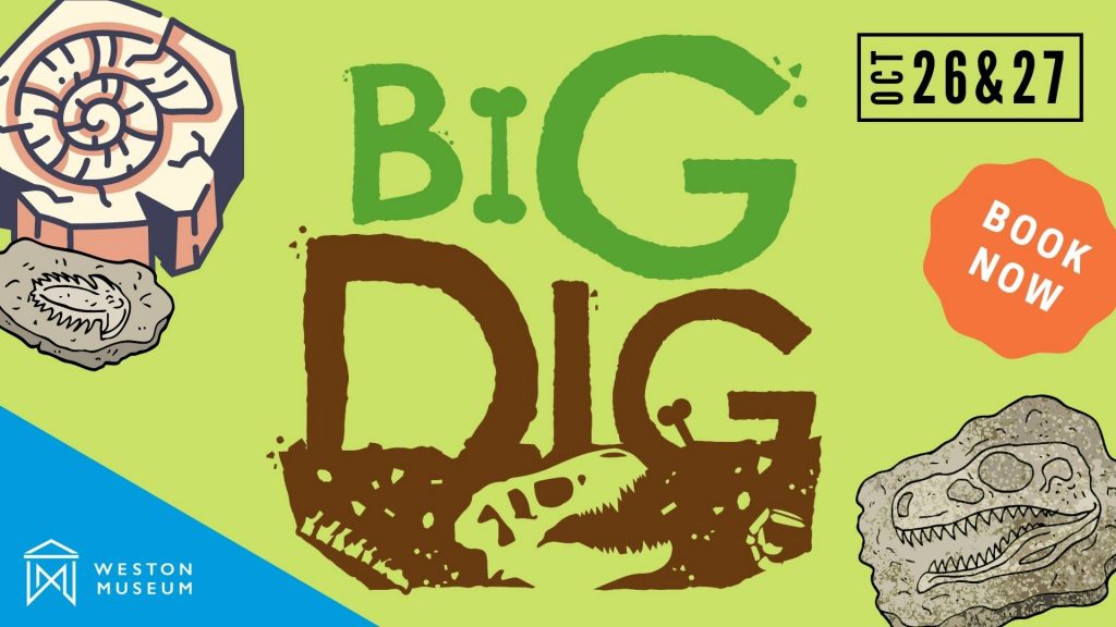 Big Dig event image
