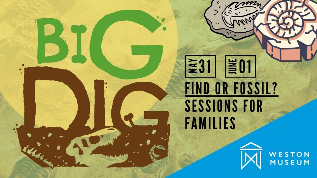 Big Dig sessions poster