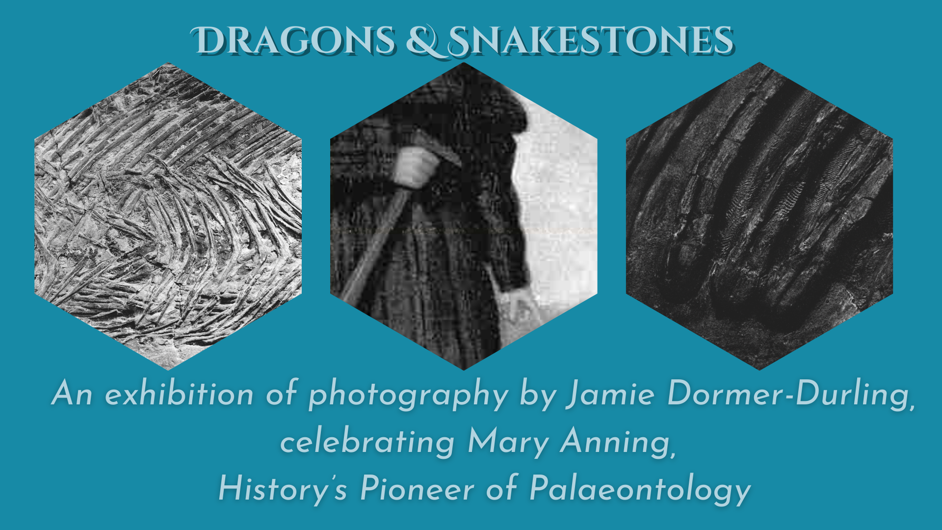 Dragons Snakestones