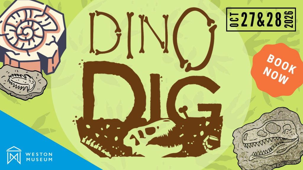 Dino Dig event image